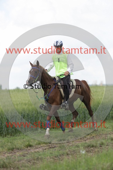 MAT_6058.JPG