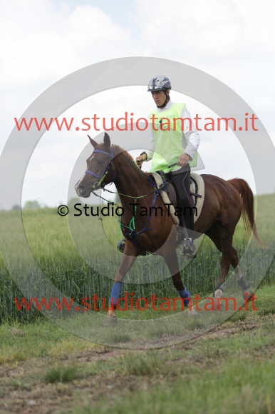 MAT_6060.JPG