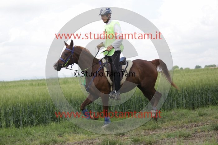 MAT_6061.JPG