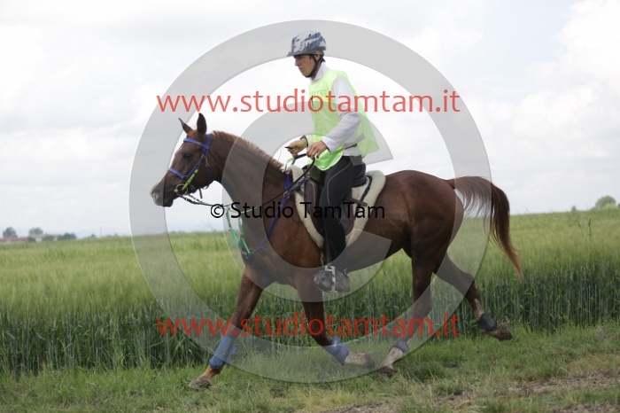 MAT_6062.JPG