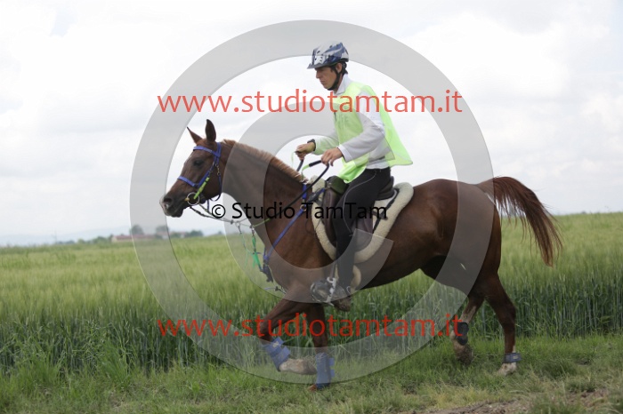 MAT_6063.JPG