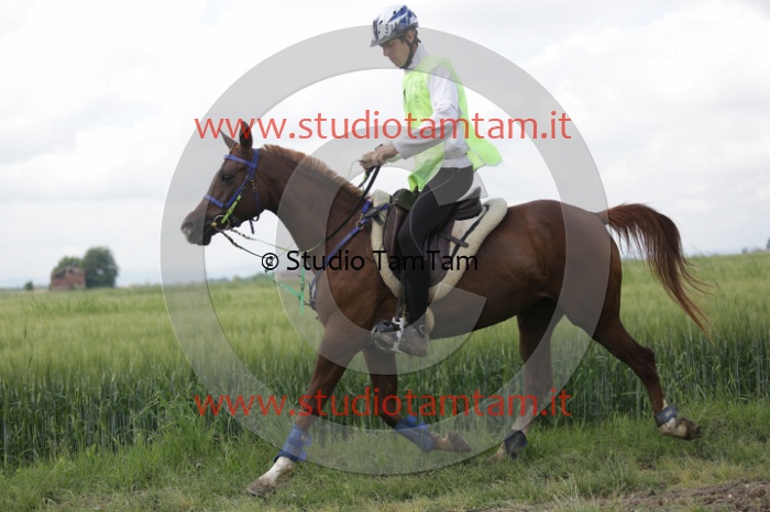 MAT_6064.JPG