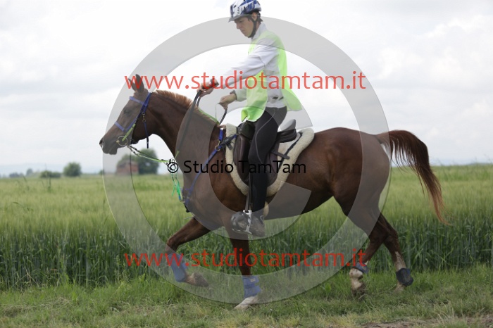 MAT_6065.JPG