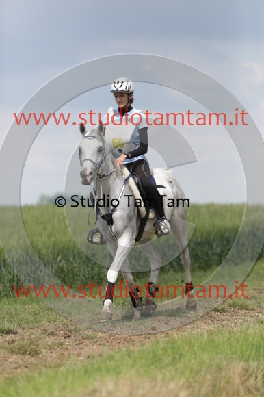 MAT_6066.JPG