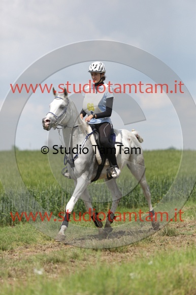 MAT_6069.JPG