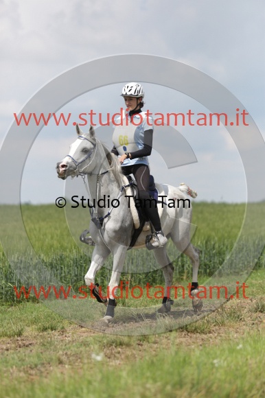 MAT_6070.JPG