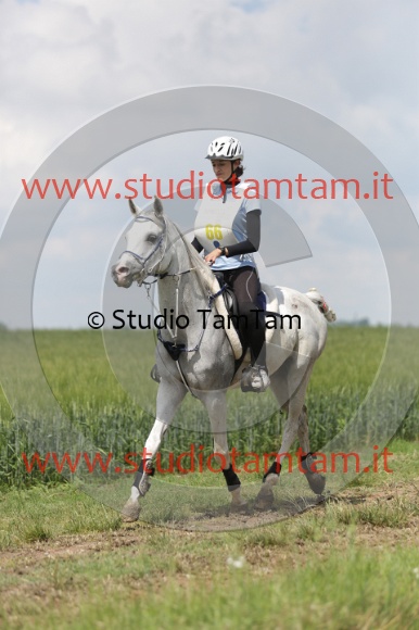 MAT_6071.JPG
