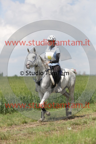 MAT_6072.JPG