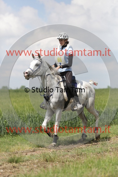 MAT_6074.JPG