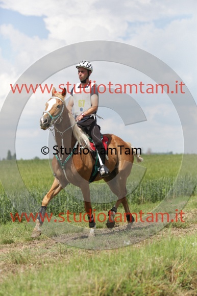 MAT_6076.JPG