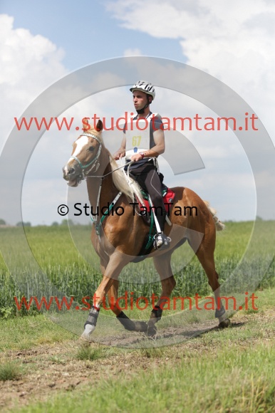 MAT_6078.JPG