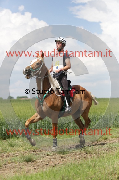 MAT_6079.JPG