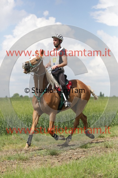 MAT_6080.JPG