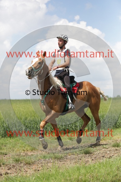 MAT_6081.JPG