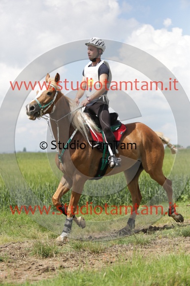 MAT_6082.JPG