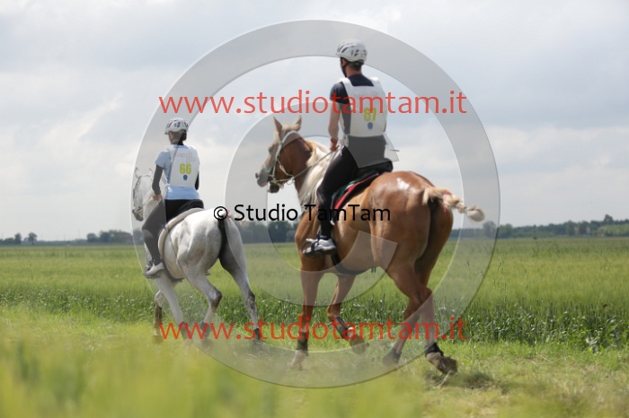 MAT_6083.JPG