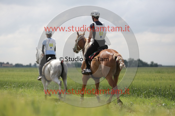MAT_6084.JPG