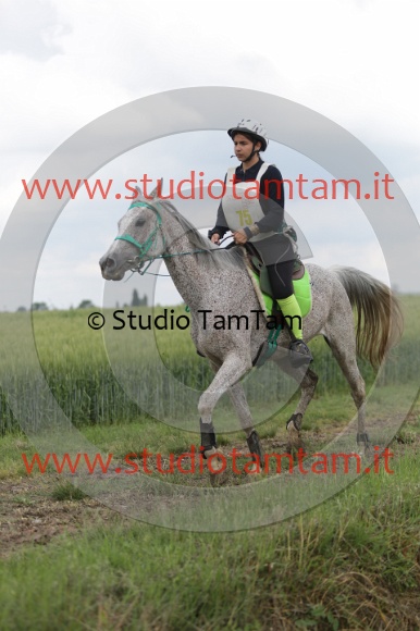 MAT_6100.JPG