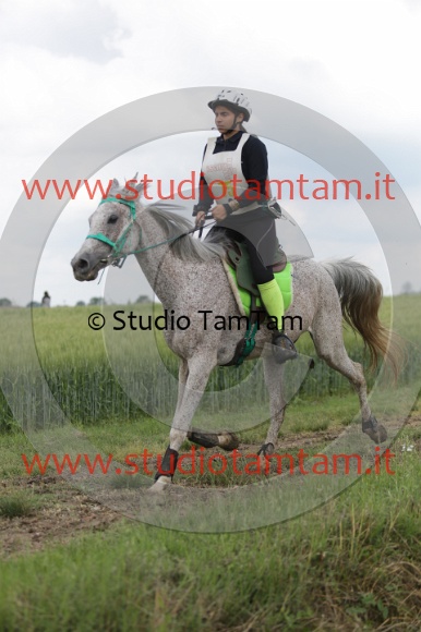 MAT_6101.JPG