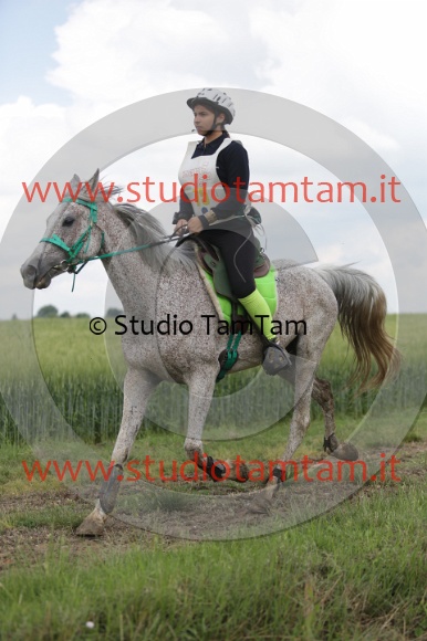 MAT_6103.JPG