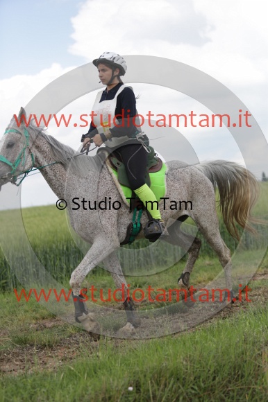 MAT_6104.JPG