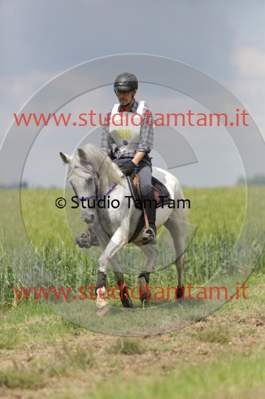 MAT_6107.JPG