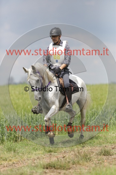 MAT_6108.JPG