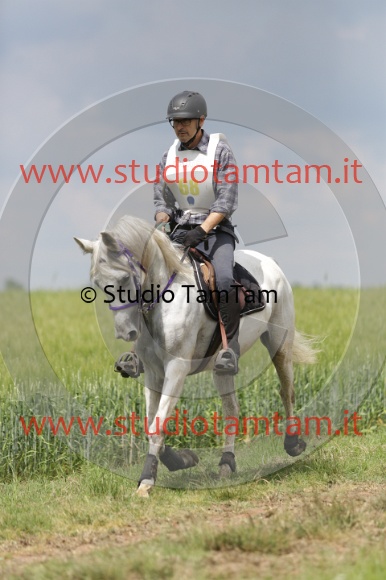 MAT_6109.JPG