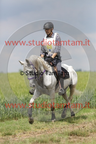 MAT_6110.JPG