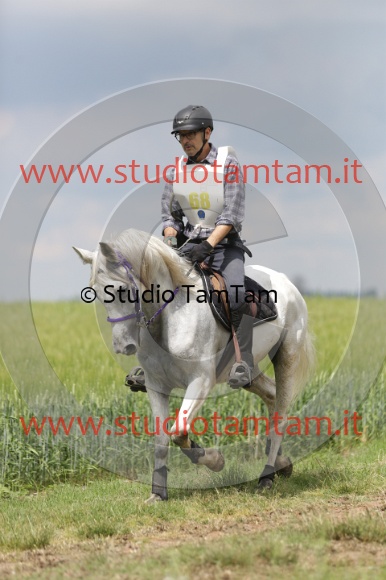 MAT_6111.JPG