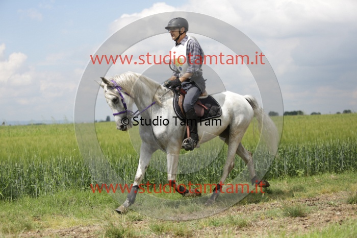 MAT_6114.JPG