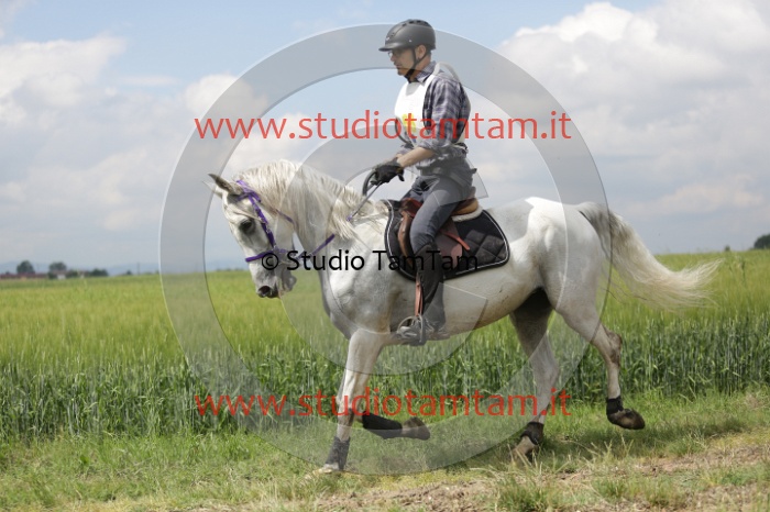 MAT_6116.JPG