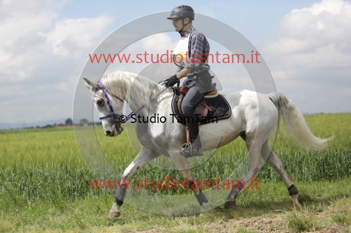 MAT_6117.JPG