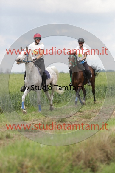 MAT_6119.JPG