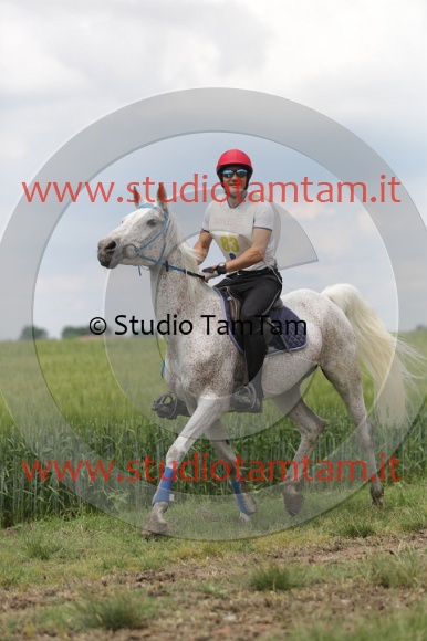MAT_6126.JPG