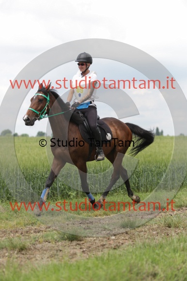 MAT_6130.JPG