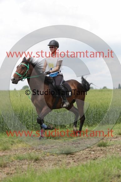 MAT_6131.JPG
