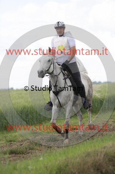 MAT_6183.JPG