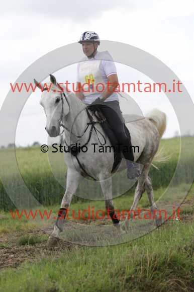 MAT_6191.JPG