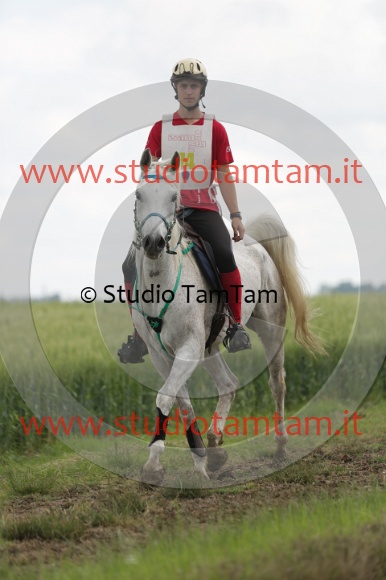 MAT_6212.JPG