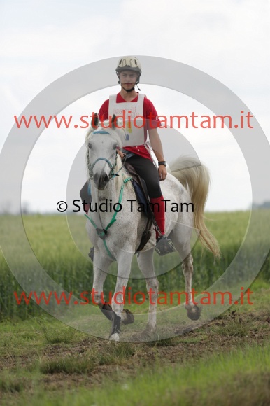 MAT_6213.JPG