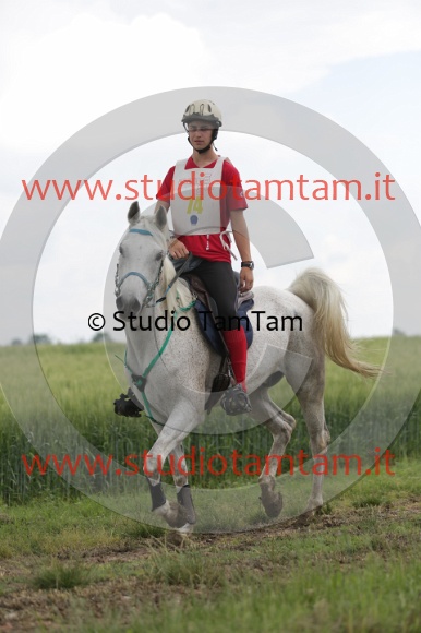 MAT_6217.JPG