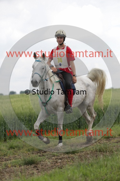 MAT_6219.JPG