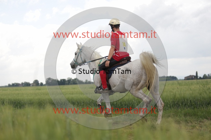 MAT_6220.JPG