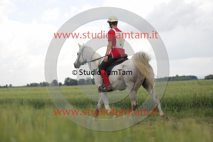 MAT_6221.JPG