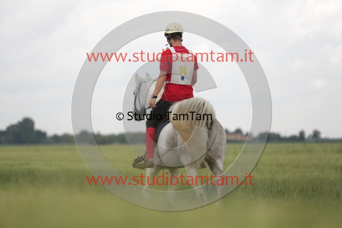 MAT_6222.JPG