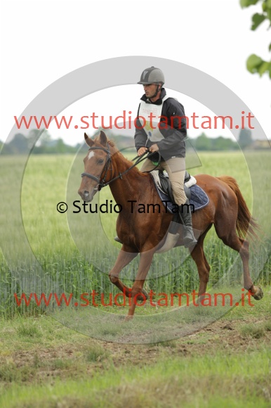 MAT_6667.JPG