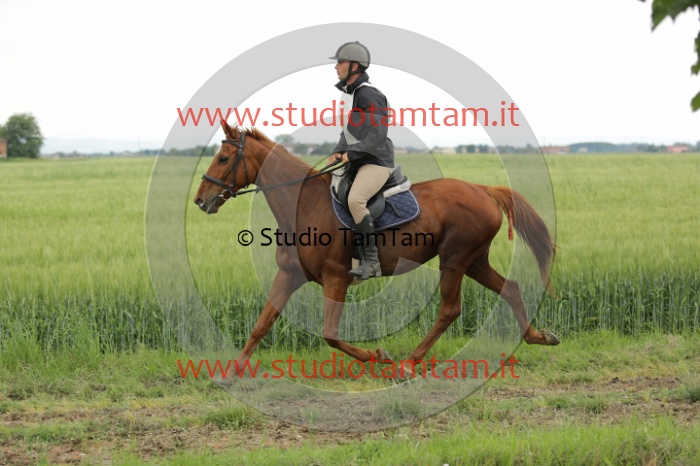 MAT_6670.JPG