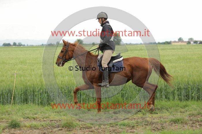 MAT_6673.JPG