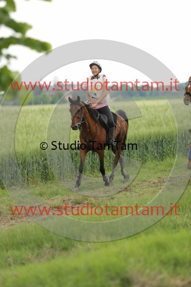 MAT_6699.JPG
